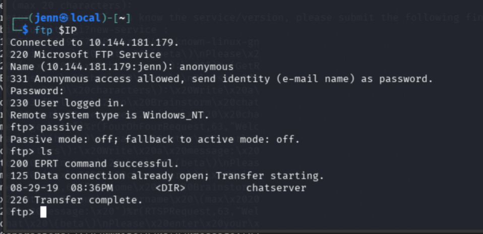 FTP ls showing chatserver directory